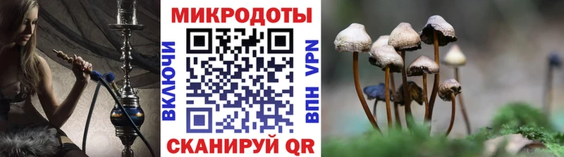 Псилоцибиновые грибы мухоморы  где купить   omg маркетплейс  Юрга 